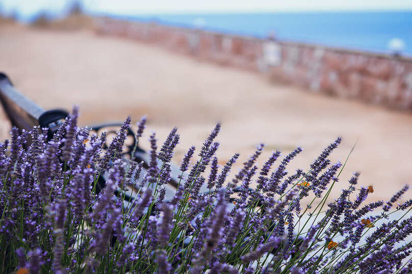 Гостиница Морская Феерия Севастополь-160