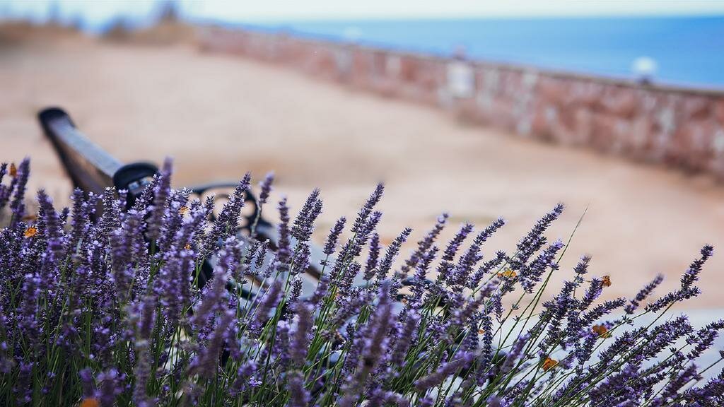 Гостиница Морская Феерия Севастополь-21