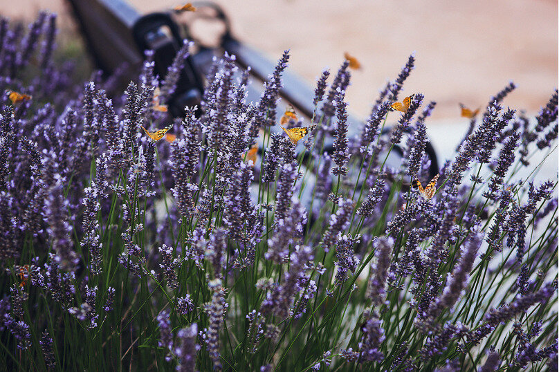 Гостиница Морская Феерия Севастополь-120